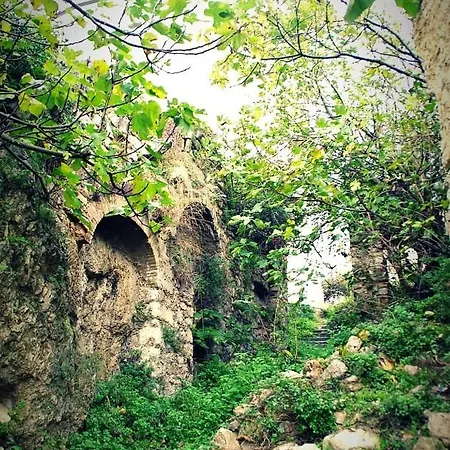 La Casa Dei Nonni Διαμέρισμα Musellaro