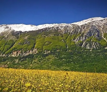 La Casa Dei Nonni * Musellaro